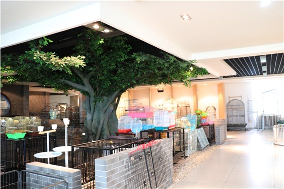 遠(yuǎn)揚-展廳