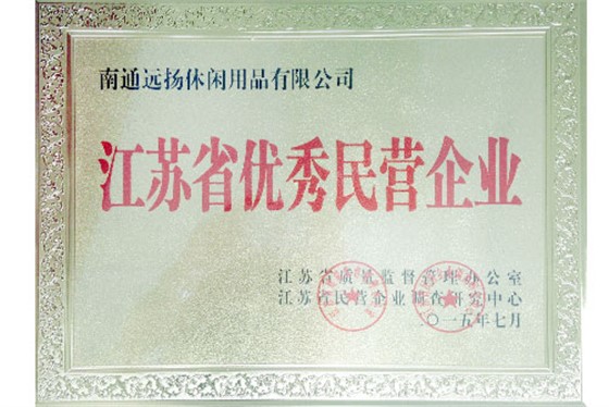 優(yōu)秀民營企業(yè)-遠(yuǎn)揚(yáng)