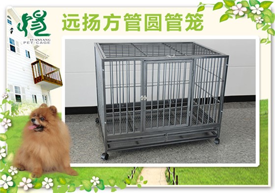 方管狗籠批發(fā)