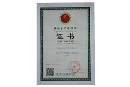 安全生產(chǎn)證書-遠(yuǎn)揚(yáng)