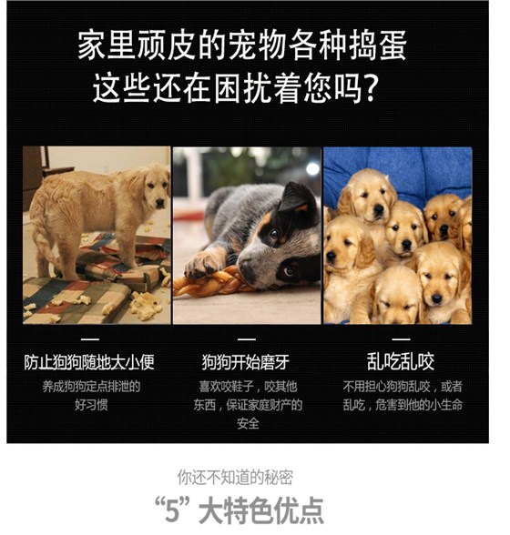 生產(chǎn)寵物籠廠家