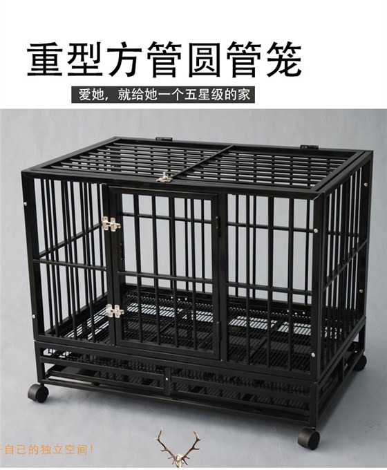 大狗籠批發(fā)