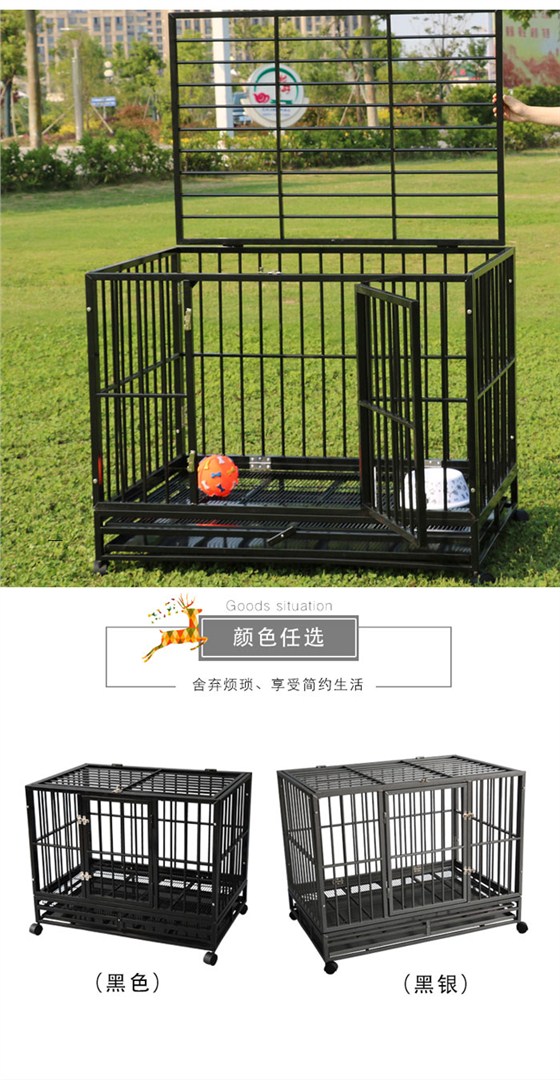 方管狗籠生產廠家