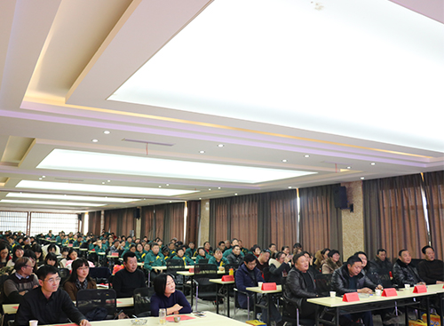 員工活動(dòng)-遠(yuǎn)揚(yáng)