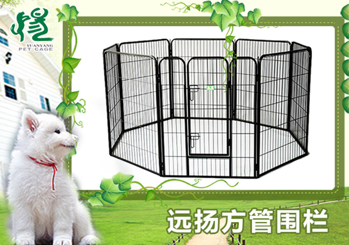 寵物籠批發(fā)