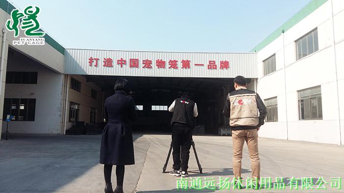 狗籠子批發(fā)價格