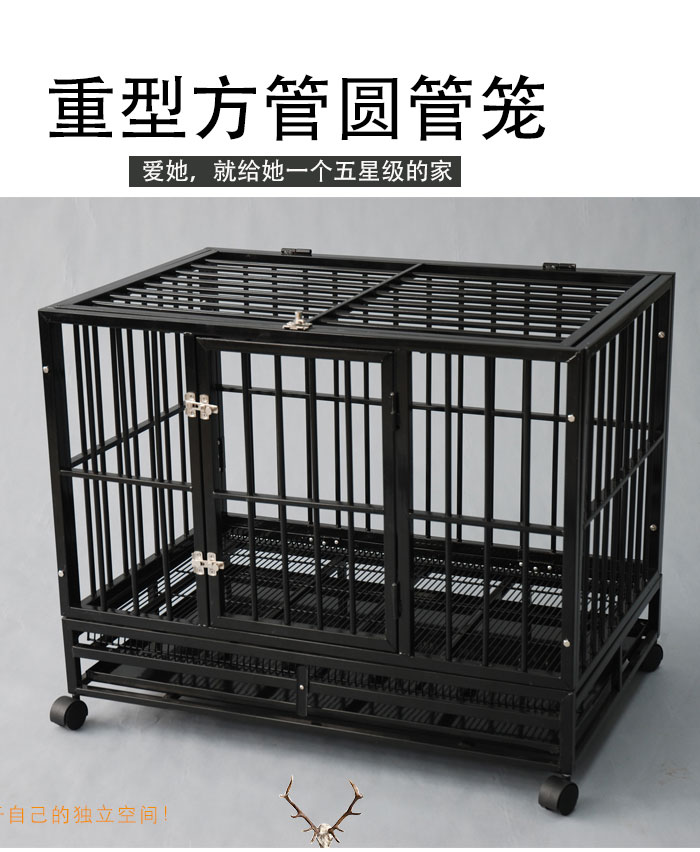 大狗籠批發(fā)