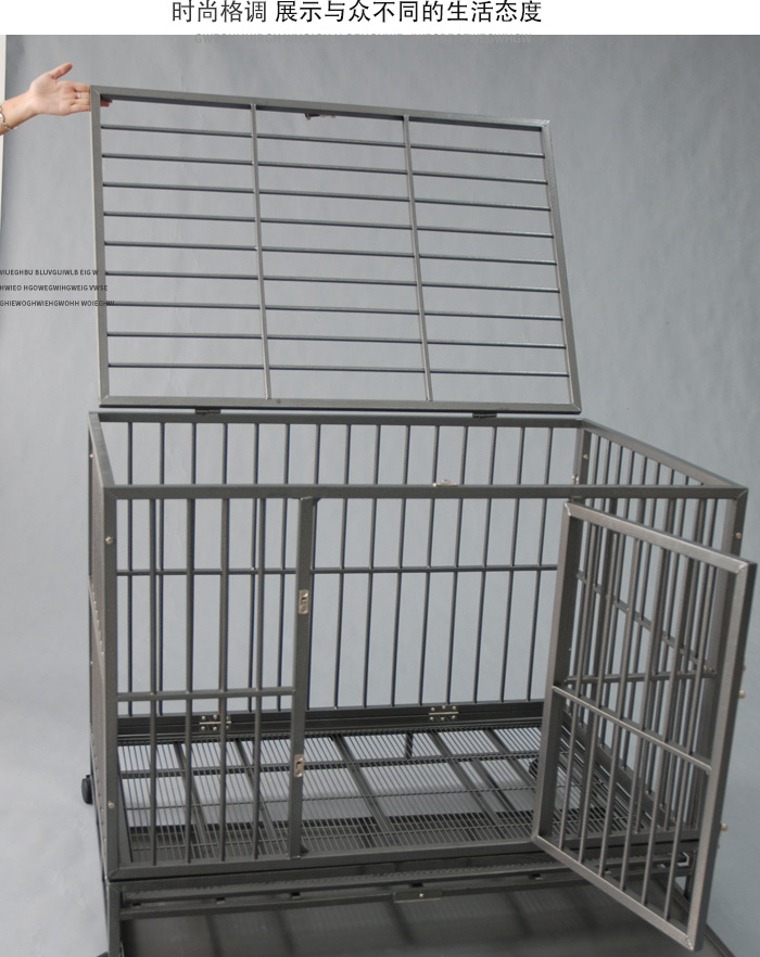 方管狗籠廠家
